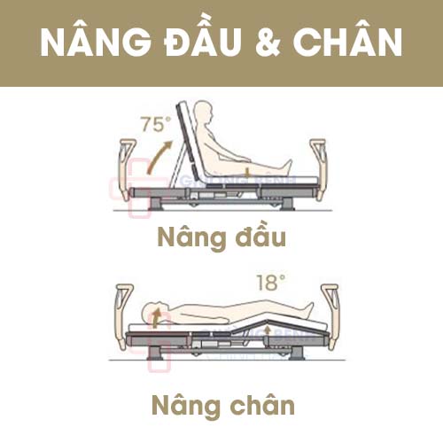 Giường dưỡng lão chăm sóc tại nhà Q-Aura
